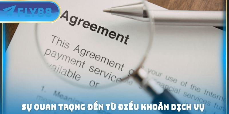 sự quan trọng đến từ điều khoản dịch vụ